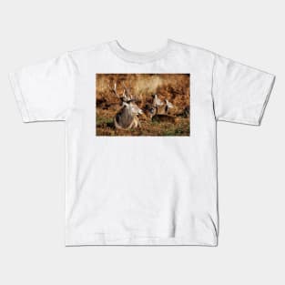 Red Deer Stag in Richmond Park Kids T-Shirt